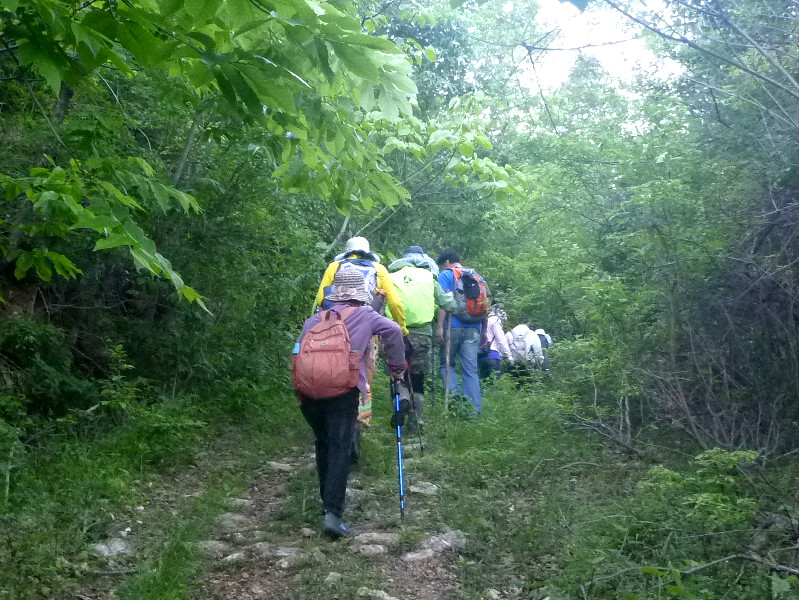 p1150018_.jpg