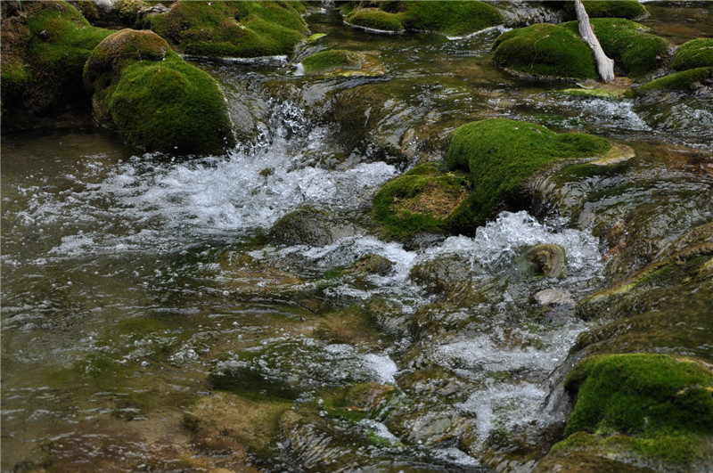 dsc_0103.jpg