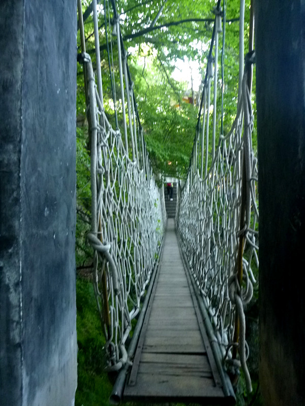 p1150032_.jpg