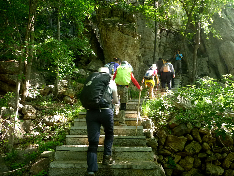 p1150040_.jpg