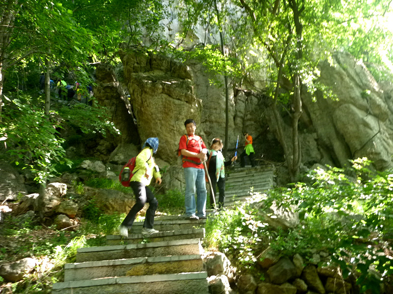 p1150043_.jpg