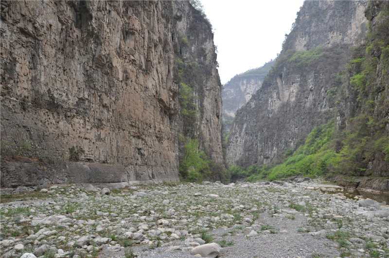 dsc_0126.jpg