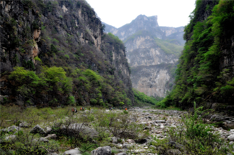 dsc_0133.jpg