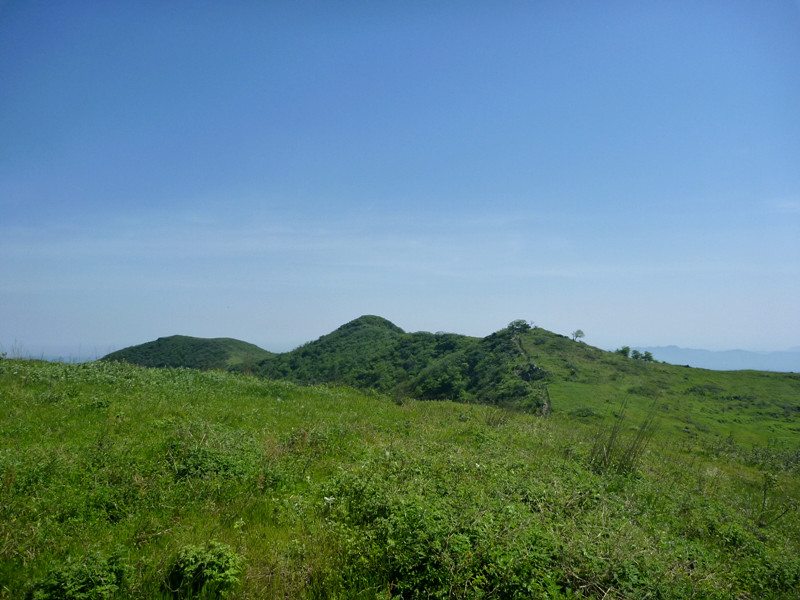 p1150107_.jpg