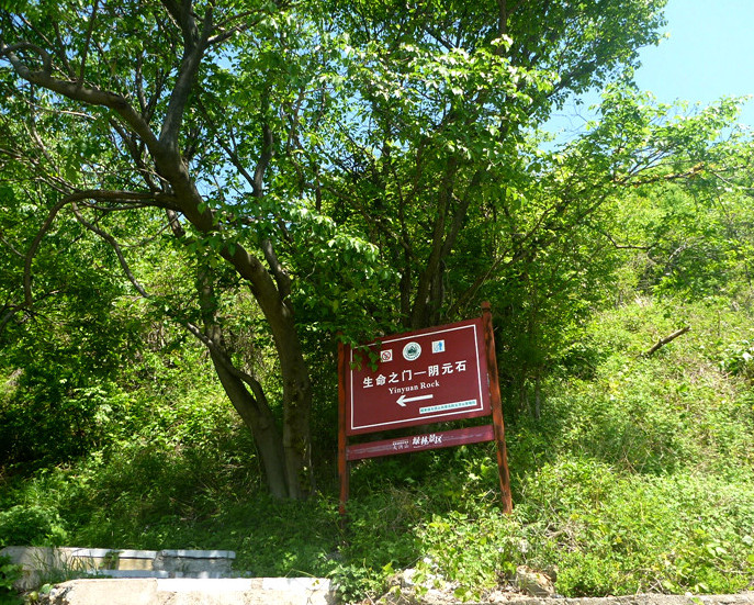 p1150118__.jpg