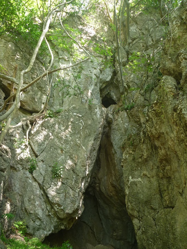 p1150112_.jpg