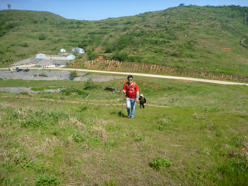 p1150087_.jpg