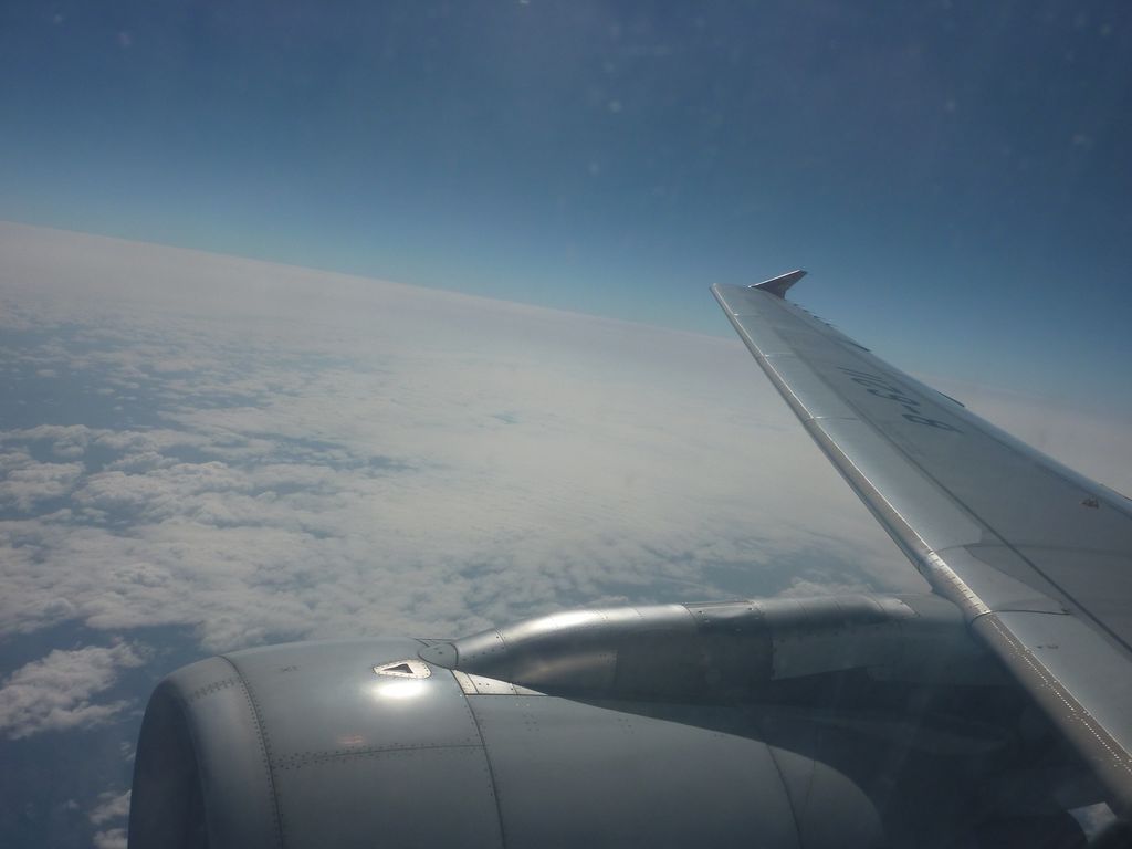 p1000571.jpg