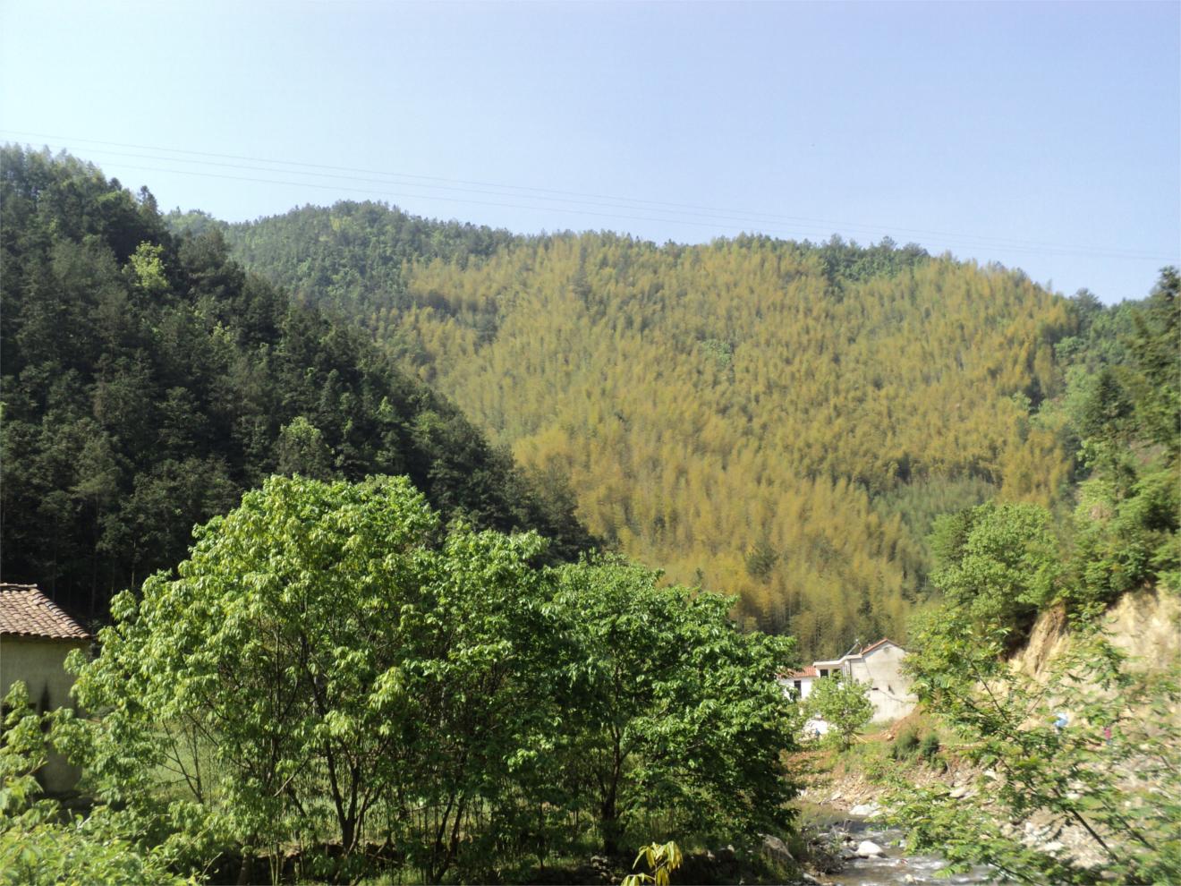 dsc05751.jpg