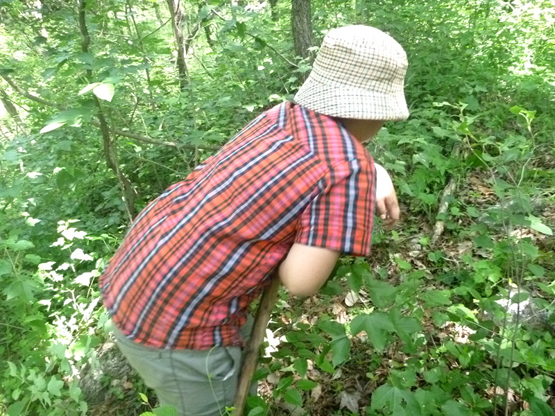 p1150129_.jpg