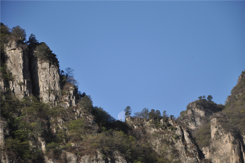 dsc_0410.jpg