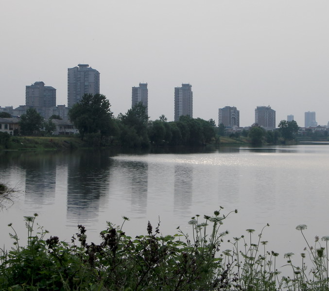 img_3805_СС.jpg