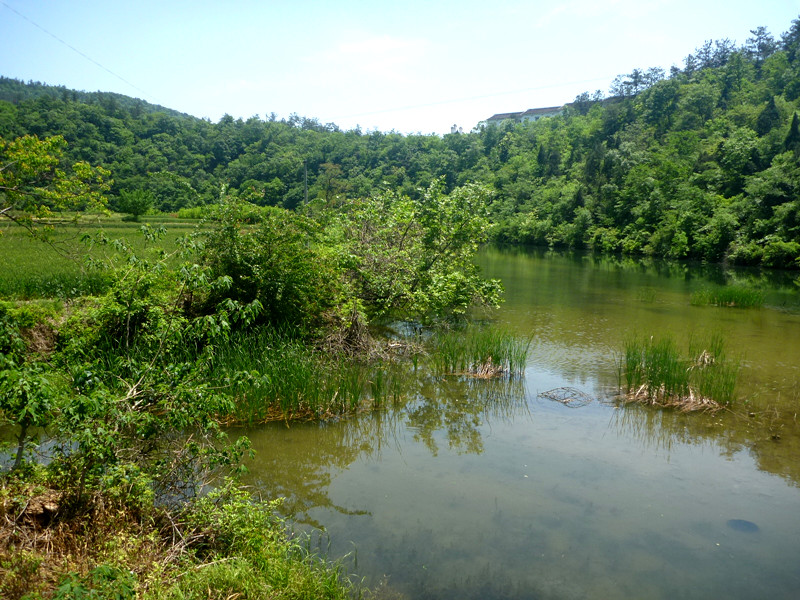 p1150149_.jpg