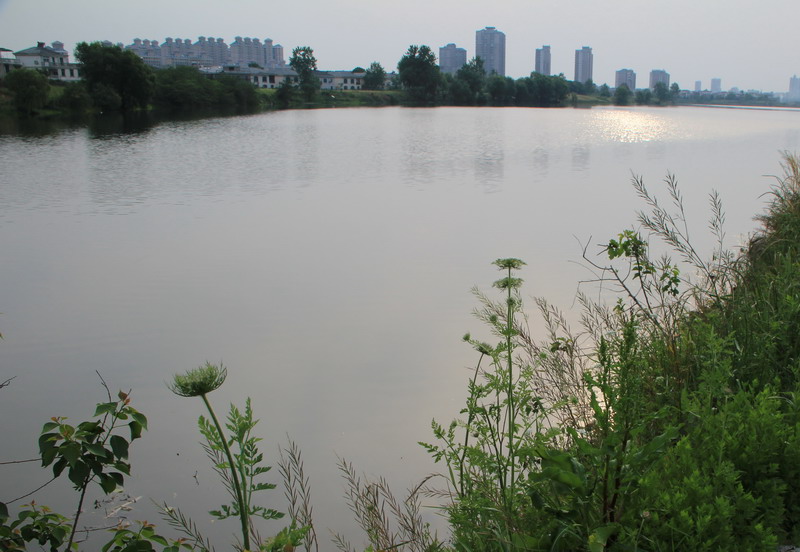 img_3806_СС.jpg
