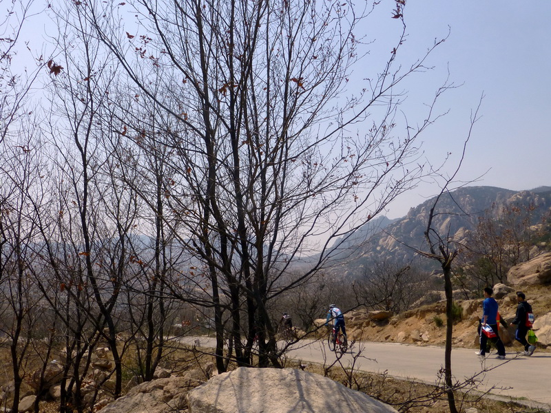 p1050847.jpg