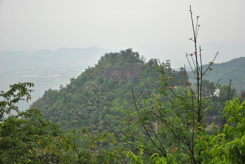 dsc_0445_С.jpg