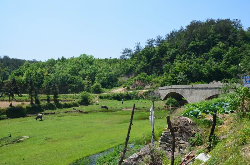 dsc_0222.jpg2.jpg