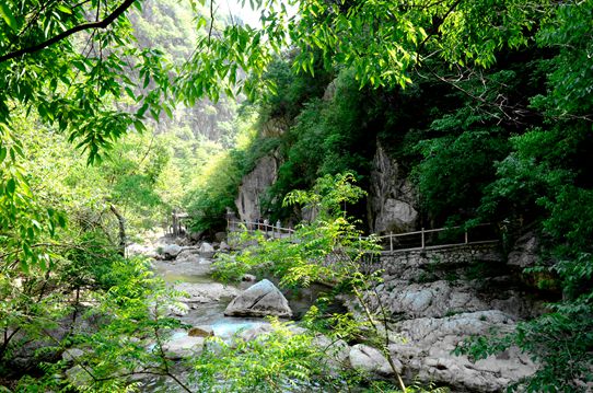 _dsc6428_.jpg