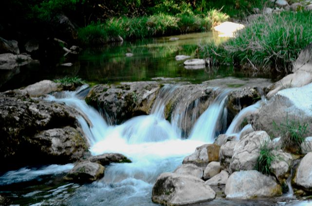 _dsc6441_.jpg