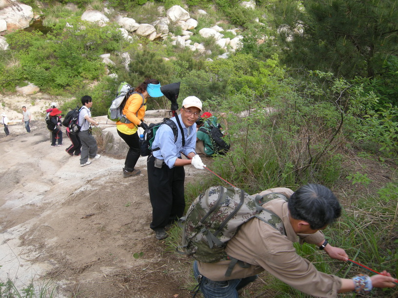 dscn8731.jpg
