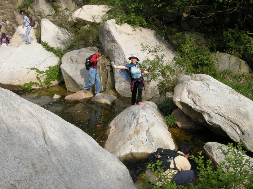 dscn8739.jpg