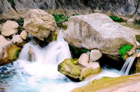 _dsc6445_.jpg