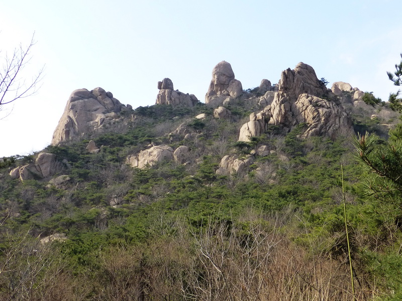 p1050869.jpg
