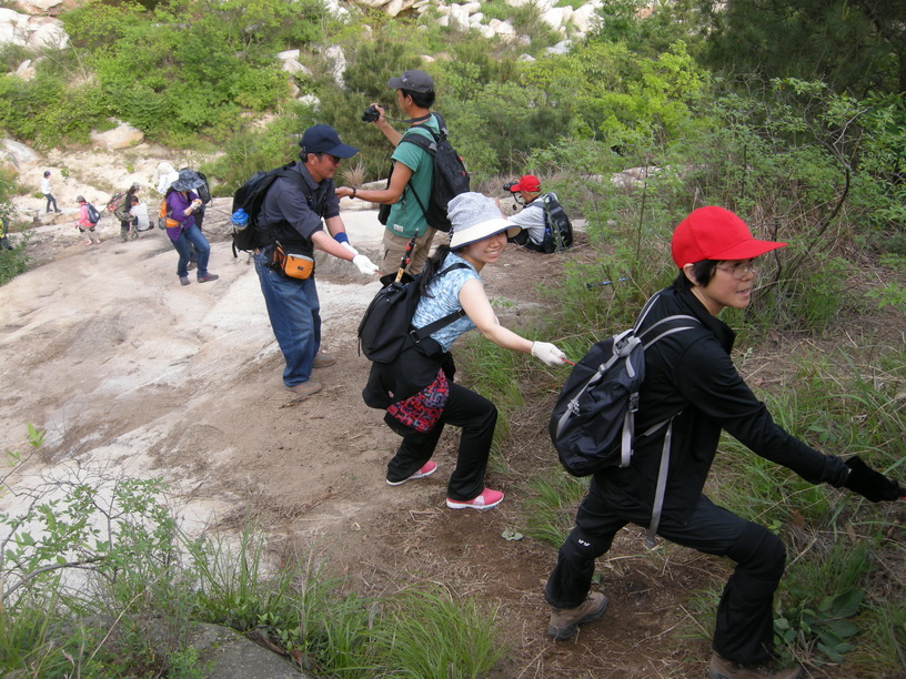 dscn8727.jpg
