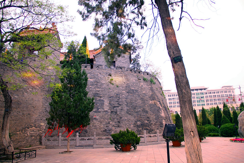 img_4269_.jpg