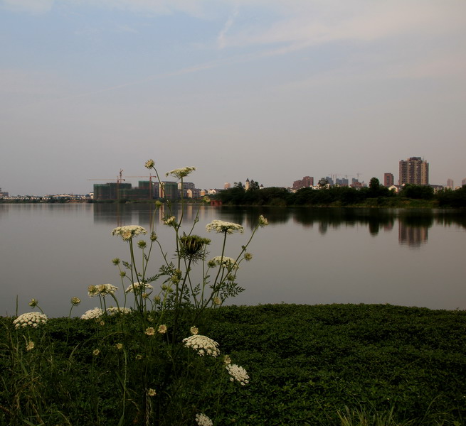 img_3823_СС.jpg