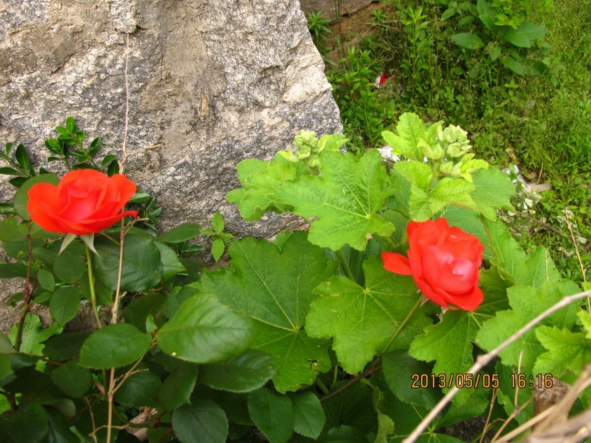 88.jpg