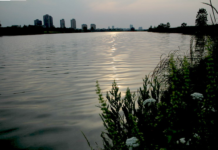 img_3879_СС.jpg