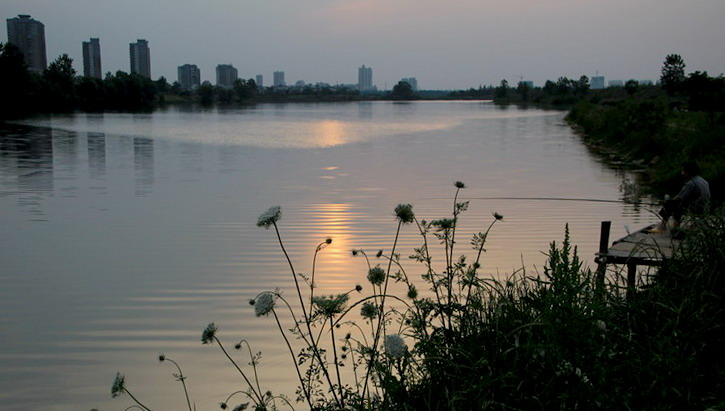 img_3931_СС.jpg