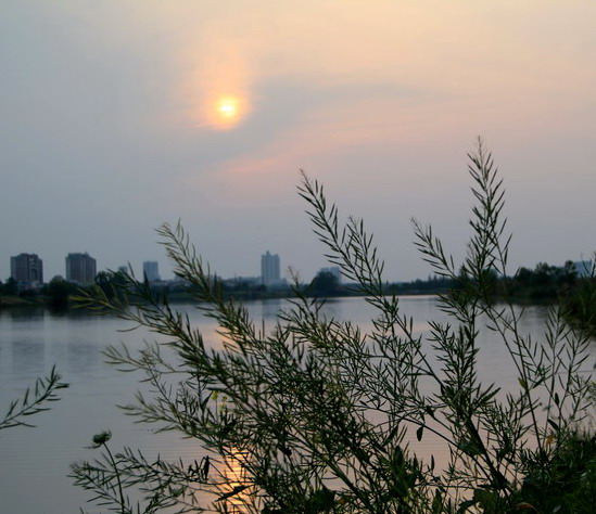 img_3937_СС.jpg