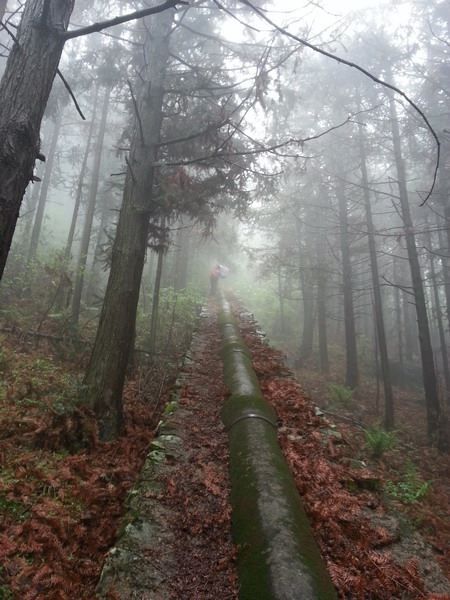20130430_110026_С.jpg