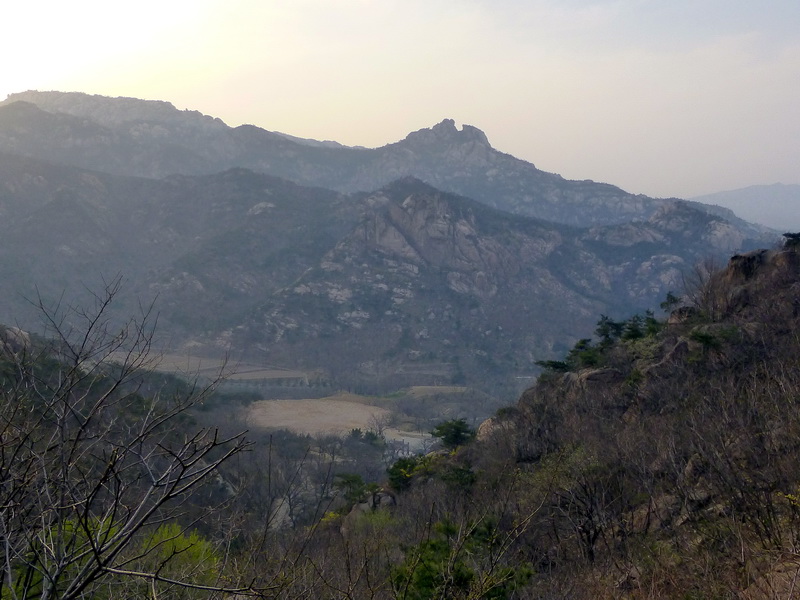 p1060007.jpg