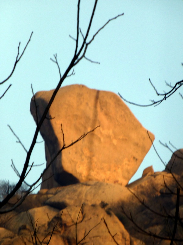 p1060010.jpg