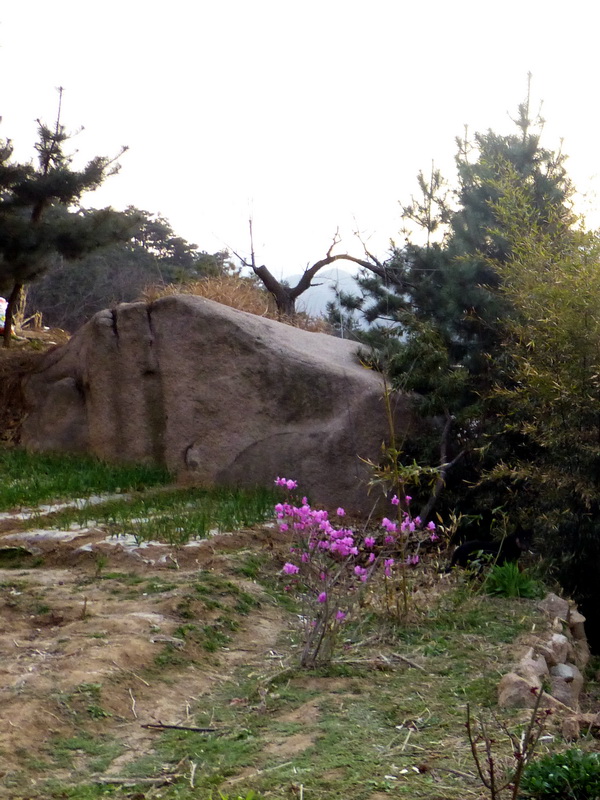 p1060011.jpg
