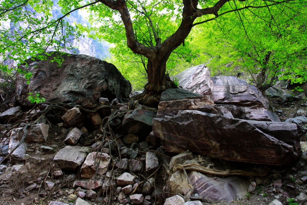 _mg_3840.jpg