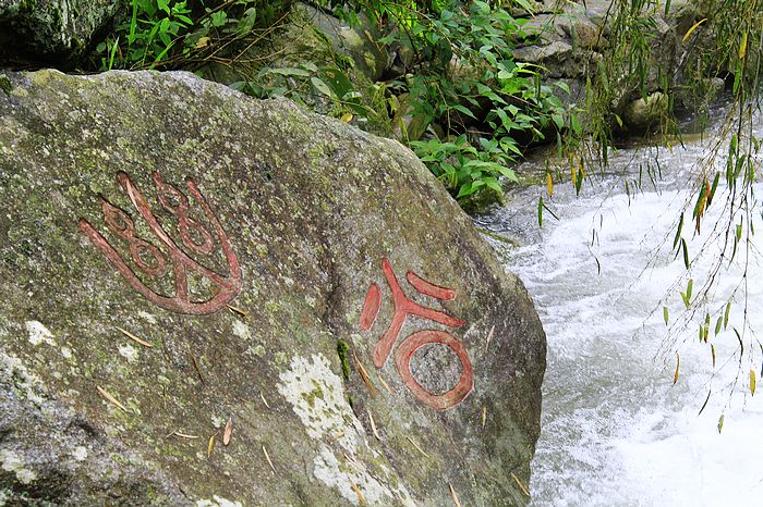 _mg_4820.jpg