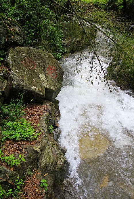 _mg_4819.jpg