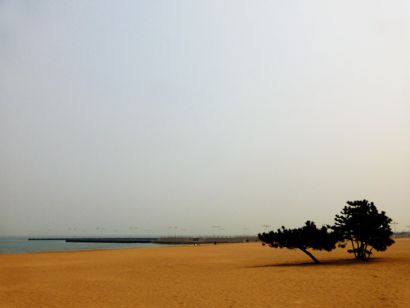 p1060218.jpg