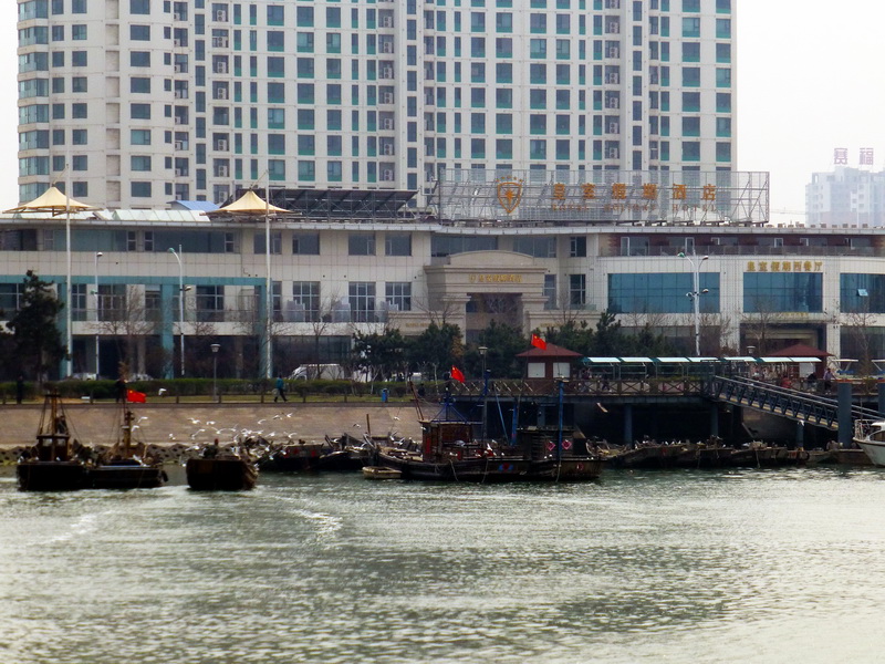 p1060236.jpg