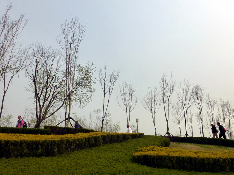 p1060242.jpg