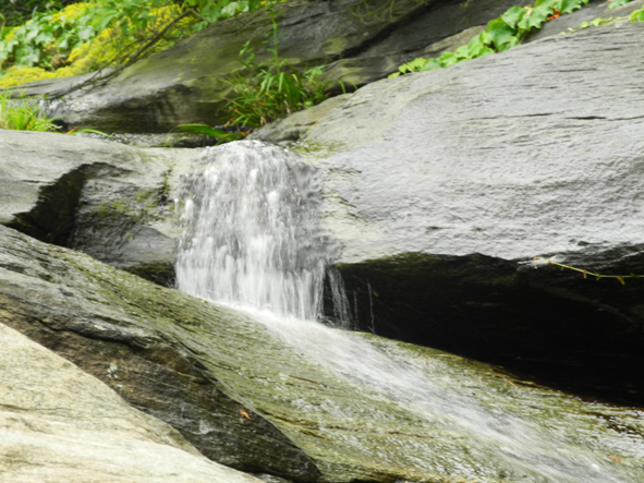 dscn0150.jpg
