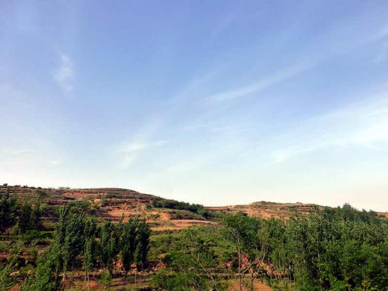 p1070711.jpg