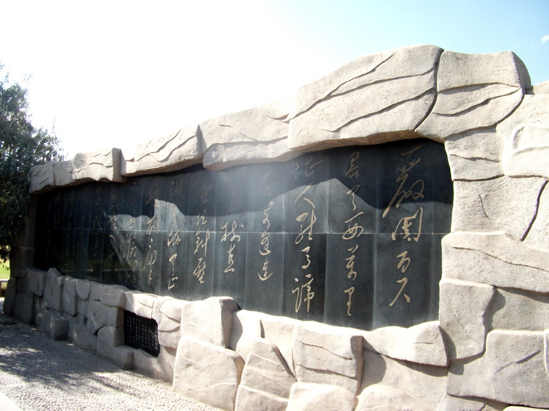 dscf0167.jpg