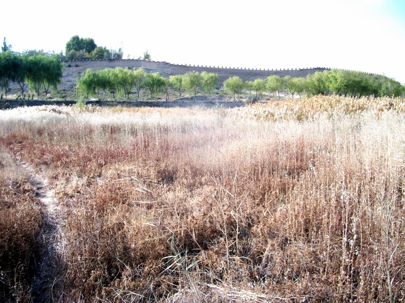 dscf0197.jpg