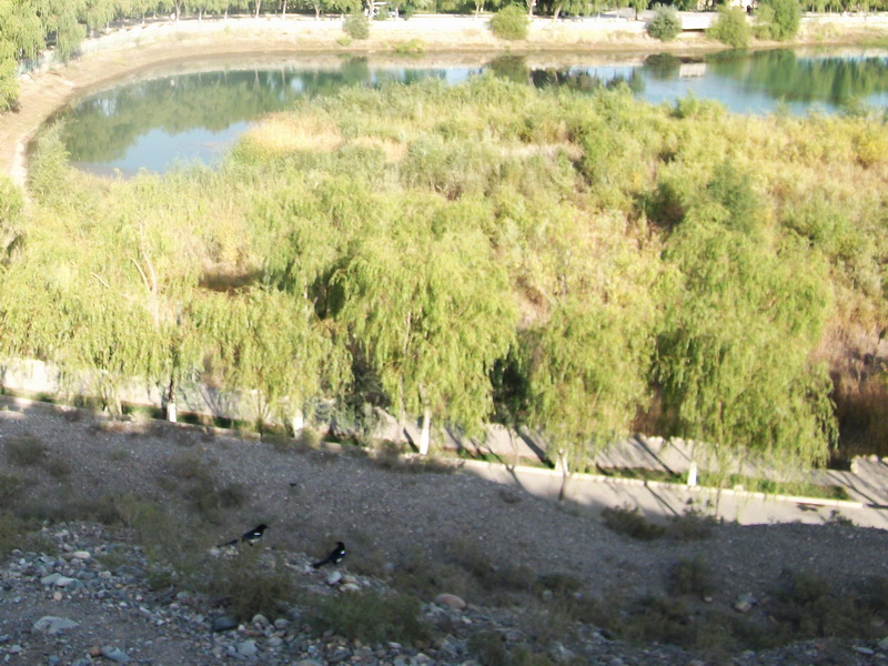dscf0212.jpg