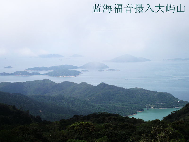 dscf8195.jpg